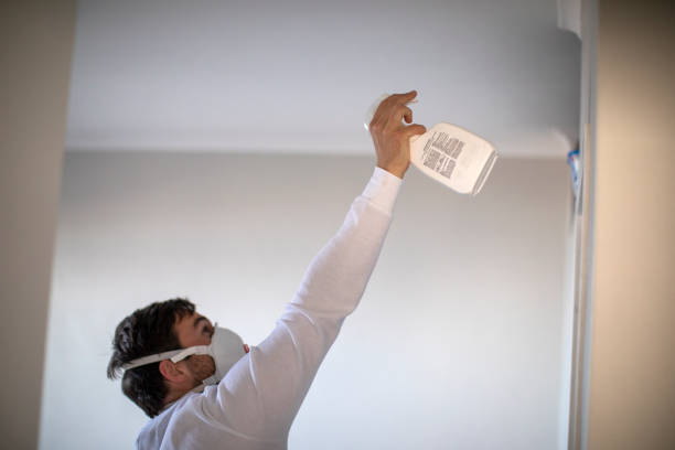 Professional Mold Remediation in Viera West, FL