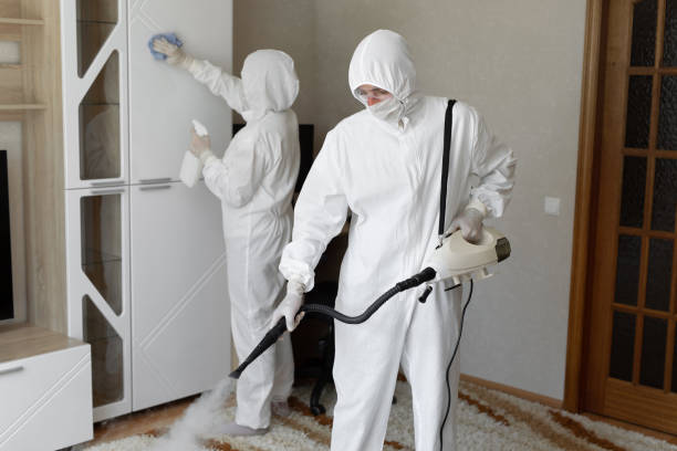 Best Industrial Mold Remediation in Viera West, FL